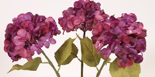 Tre konstgjorda hortensiablommor i djuplila och rosa nyanser med detaljerade kronblad och gröna blad.