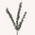 En elegant Eucalyptus snittgrönt , Konstgjord eucalyptus snittgrönt 80 cm hög med naturligt utseende och känsla. Detaljerad utformning med realistiskt bladverk. 