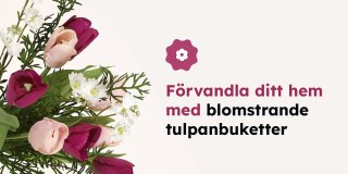 Bukett av tulpaner i rosa och lila färg med instick av Takai snittgrönt